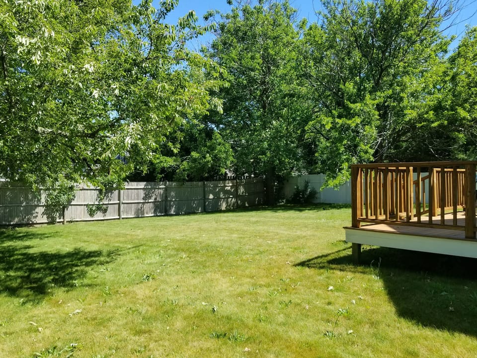 backyard