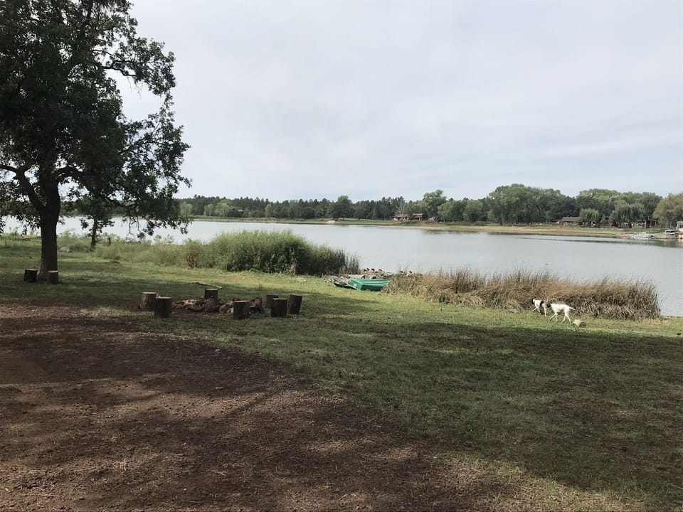 Room to roam and fire pit for S'mores