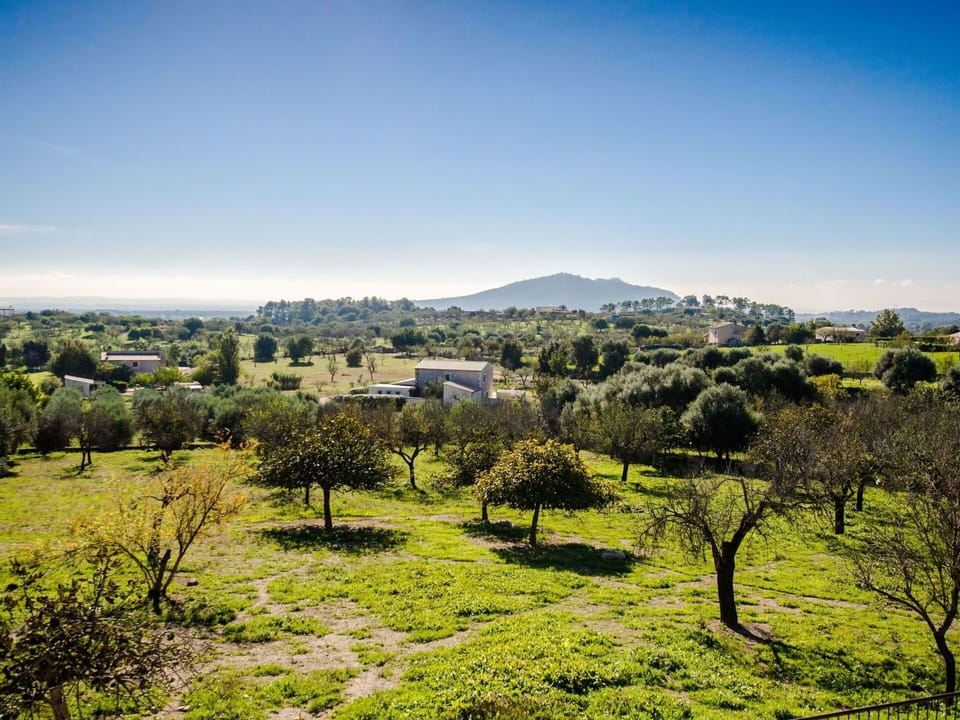 Nature, Vegetation, Sky, Green, Tree, Hill, Daytime, Grass, Urban Area, Wilderness