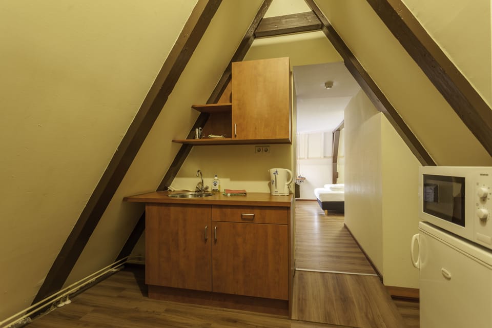 Apartment, 1 Bedroom, City View | Private kitchenette | Eco-friendly cleaning products