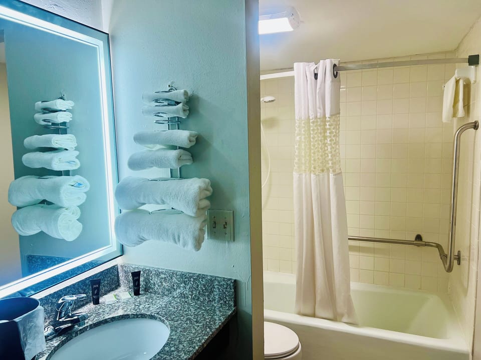 Room, 1 King Bed, Non Smoking | Bathroom | Combined shower/tub, deep soaking tub, hydromassage showerhead
