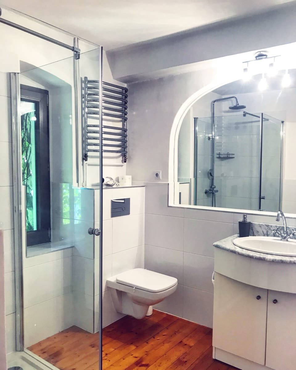 Junior Studio Suite, 1 Queen Bed, Non Smoking | Bathroom shower