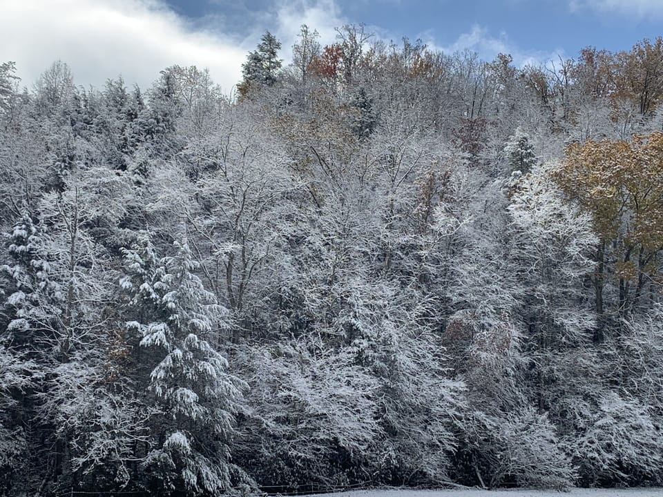 Majesty of winter in the Smokys❄️🏔🌲