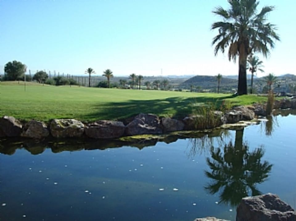 18 th green valle del este golf course
