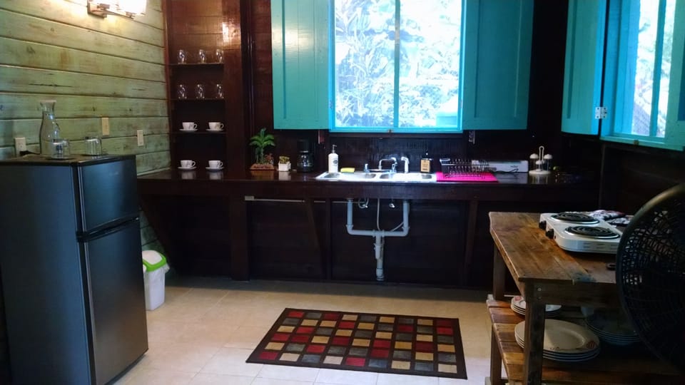 Standard Studio, 1 Queen Bed, Non Smoking | Private kitchenette | Coffee/tea maker