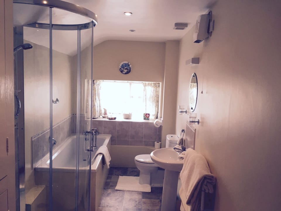 Bathroom | Combined shower/tub, free toiletries, hair dryer, towels