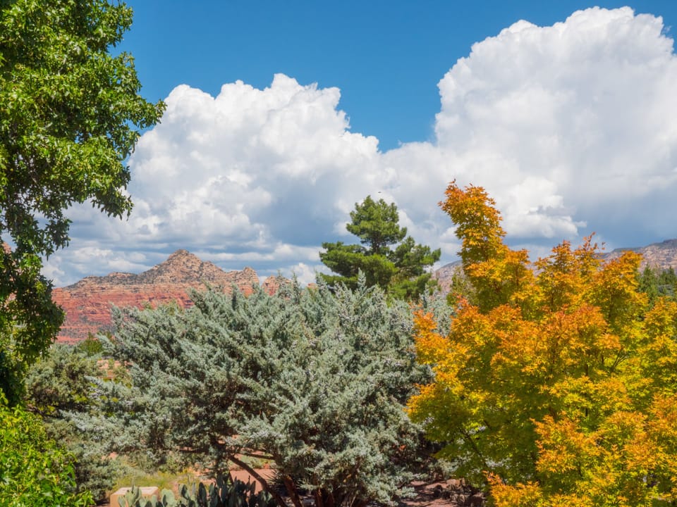 Partial View Double Queen Traditional (Gas Fireplace. Distant Mountain Views) | View from room