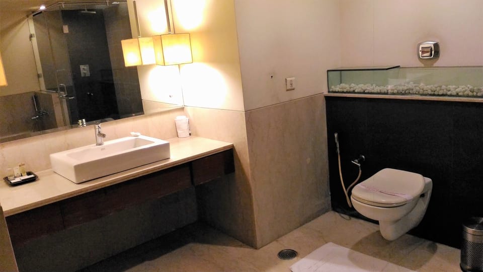 Deluxe Business Room | Bathroom shower
