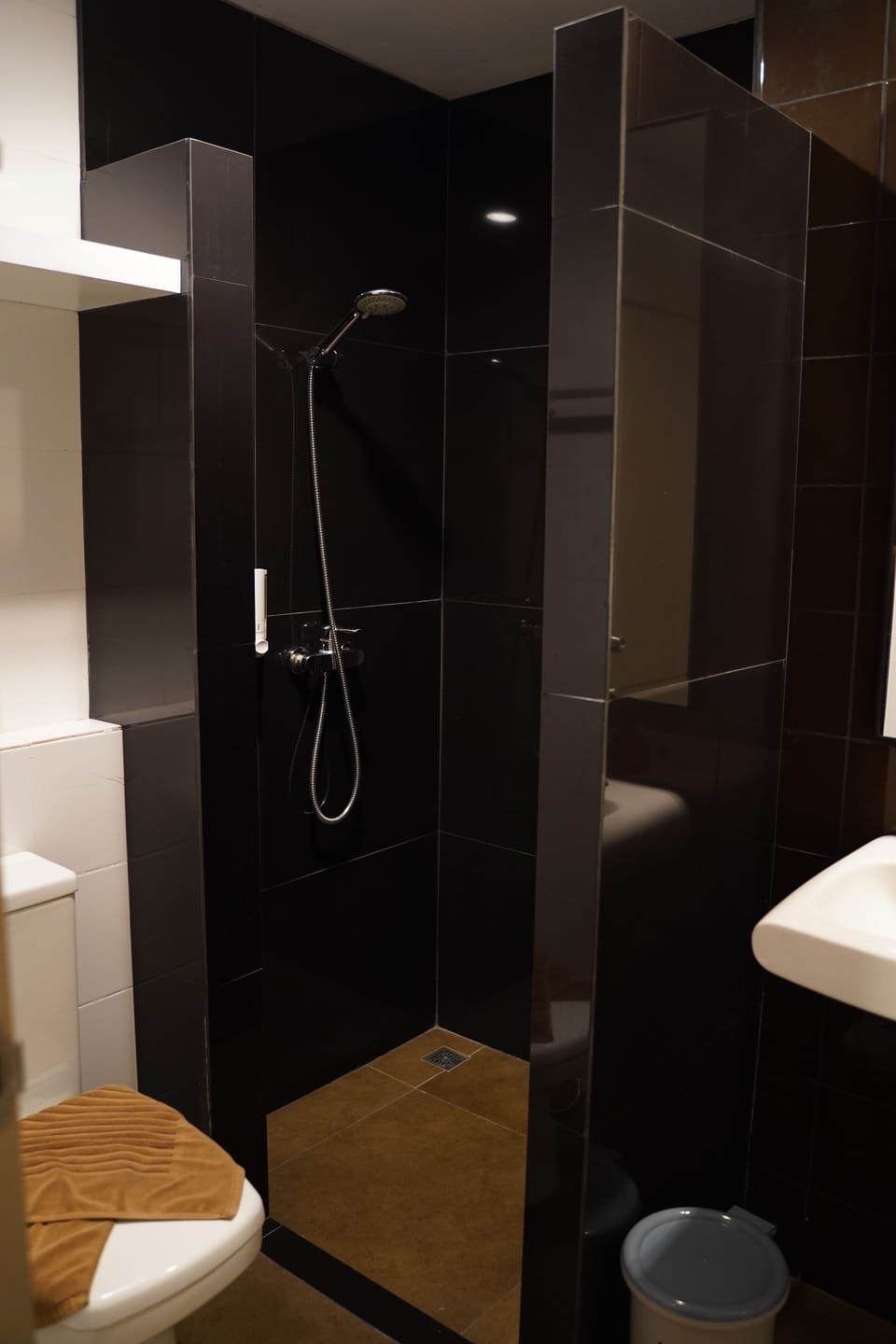 Shower, free toiletries, hair dryer, bidet
