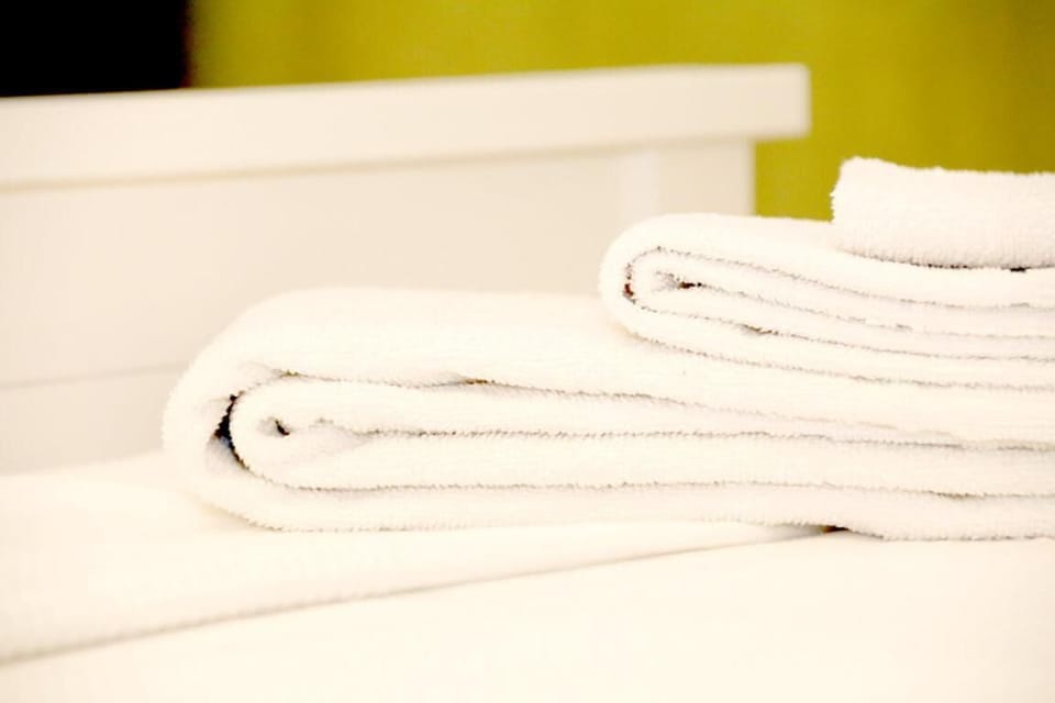 Shower, free toiletries, hair dryer, bidet