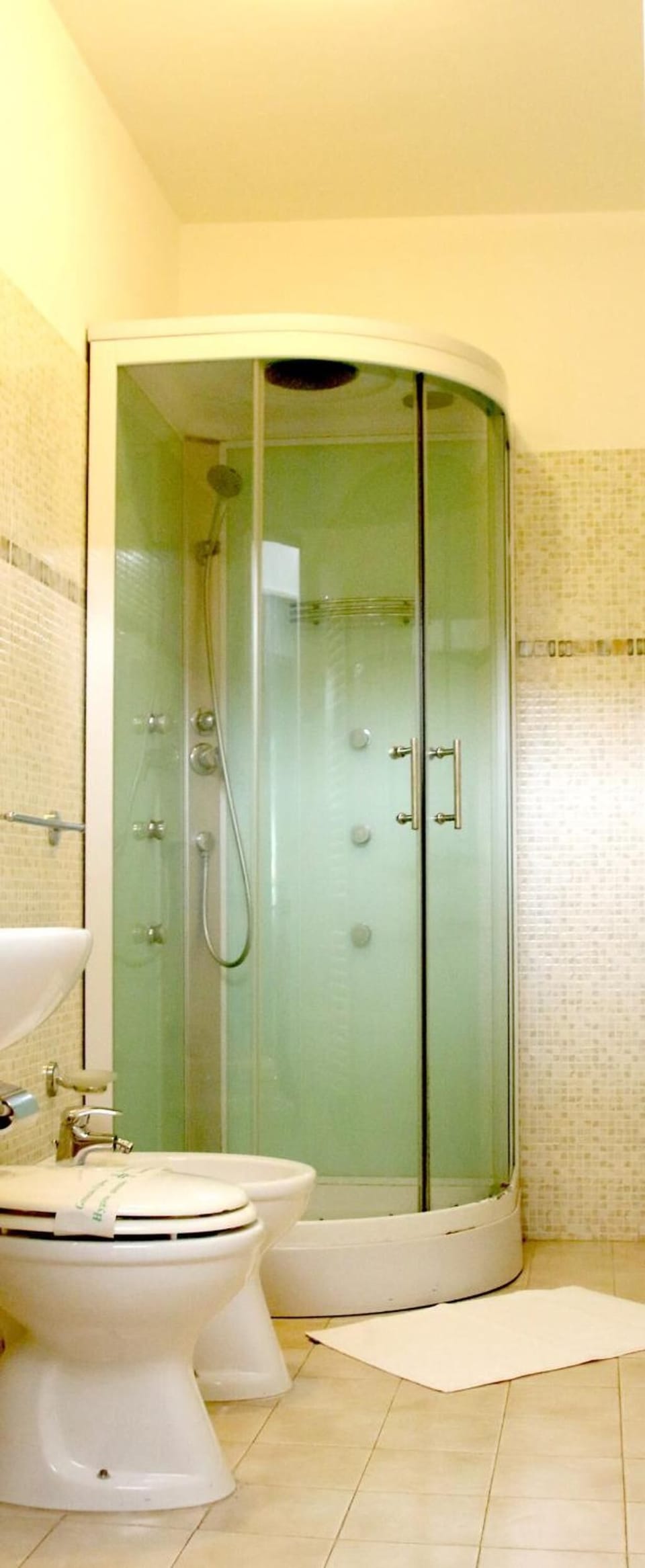 Shower, free toiletries, hair dryer, bidet