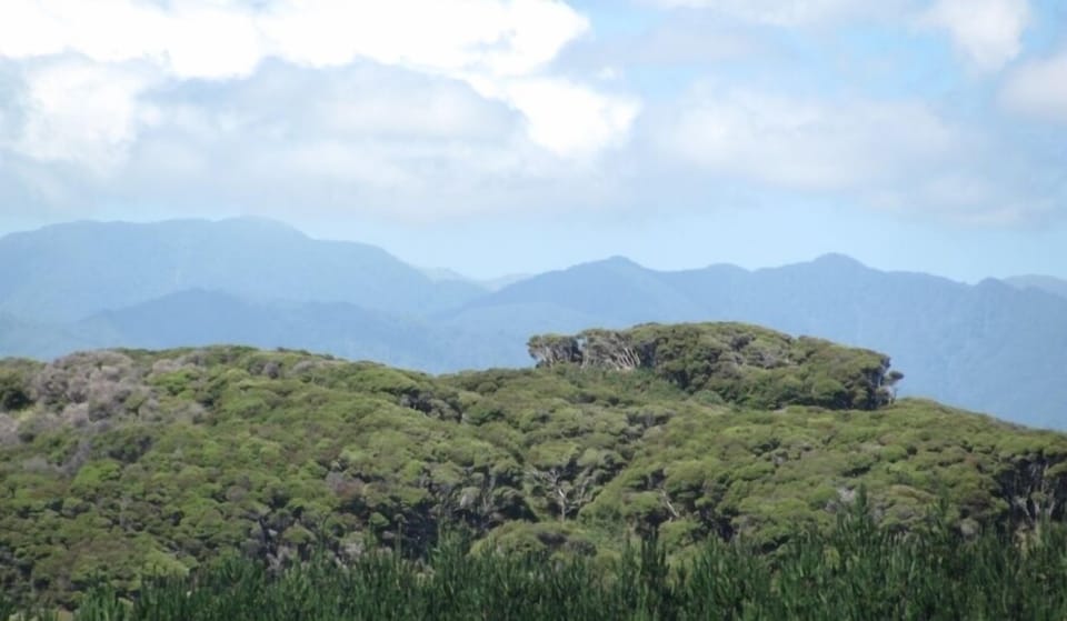 Tararua Range (Bach)