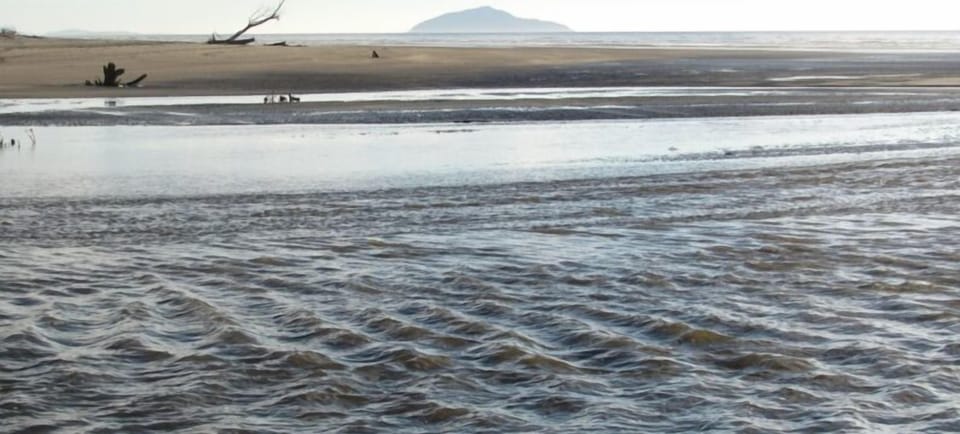 Hokio Stream Mouth