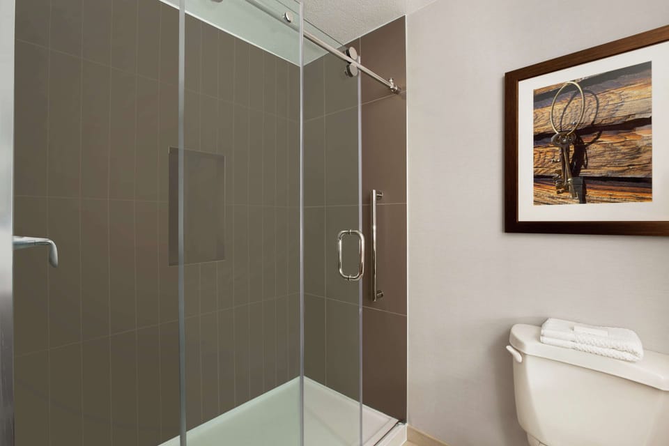 Bathroom shower