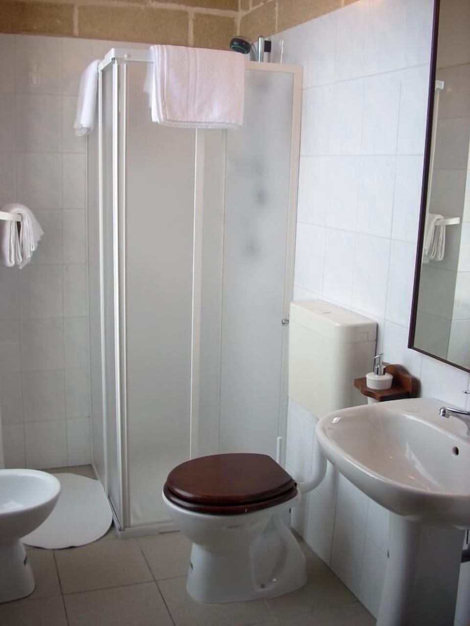 Shower, hair dryer, bidet
