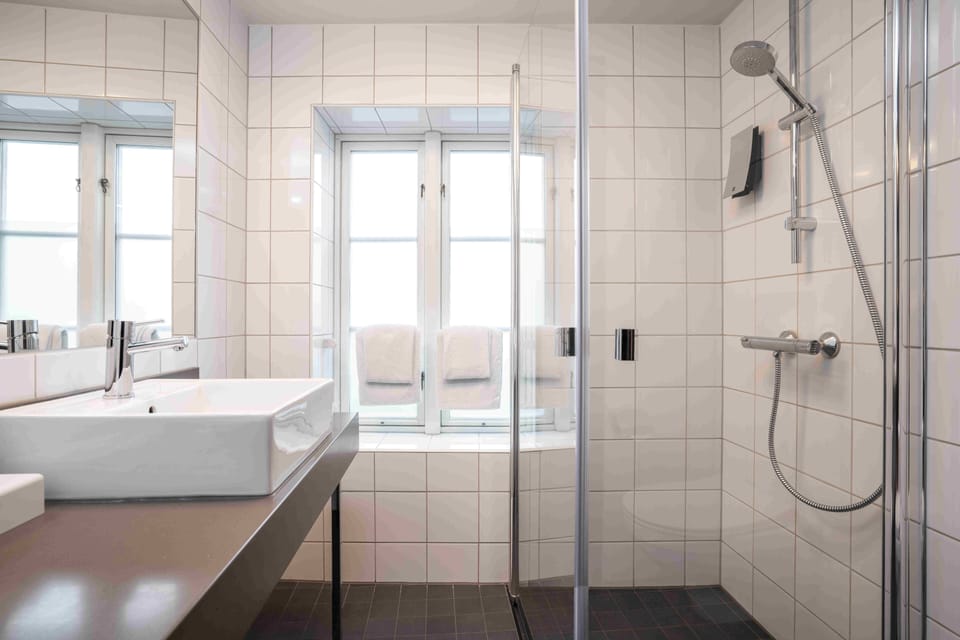Business Room, Non Smoking | Bathroom | Shower, free toiletries, hair dryer, towels