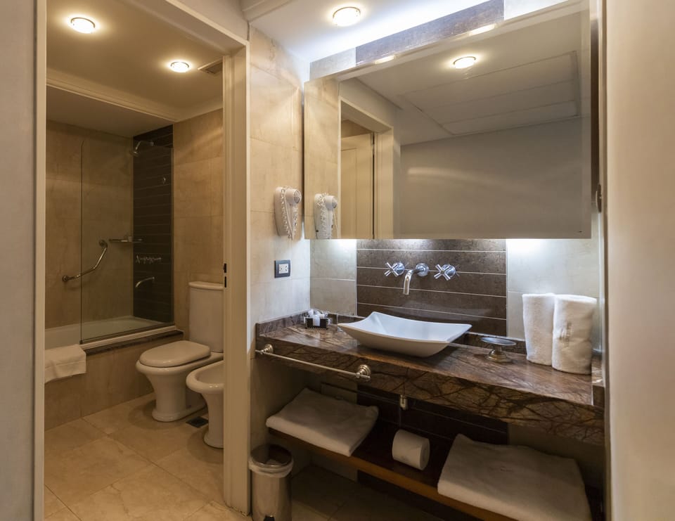 Deluxe Room | Bathroom | Eco-friendly toiletries, hair dryer, bidet, towels