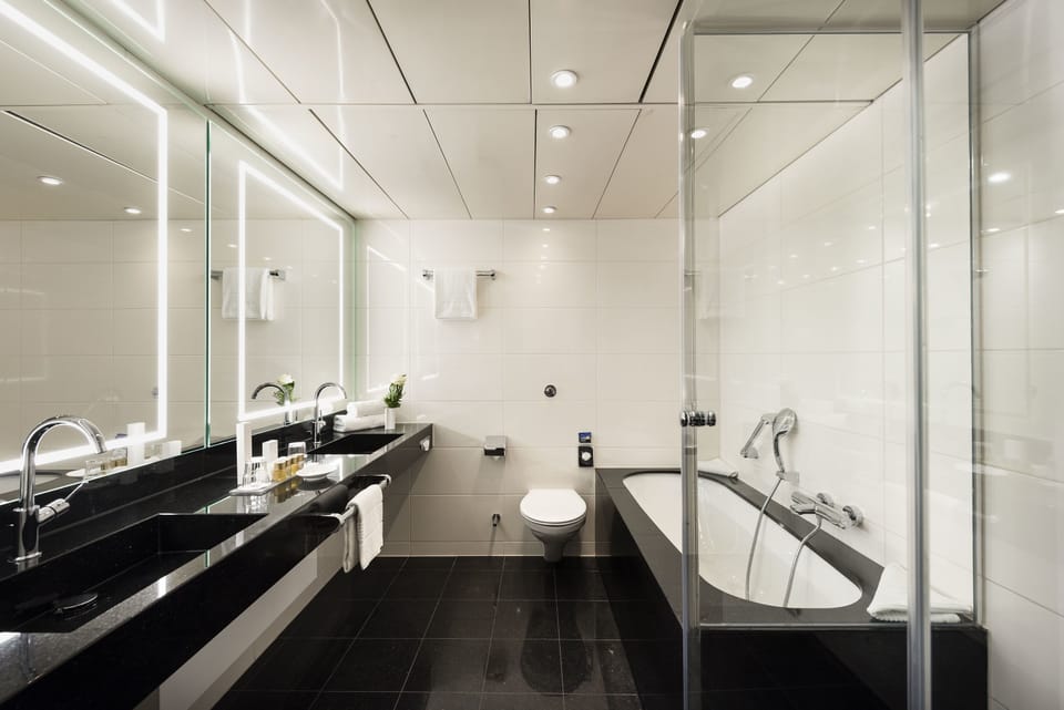 Combined shower/tub, free toiletries, hair dryer, bidet