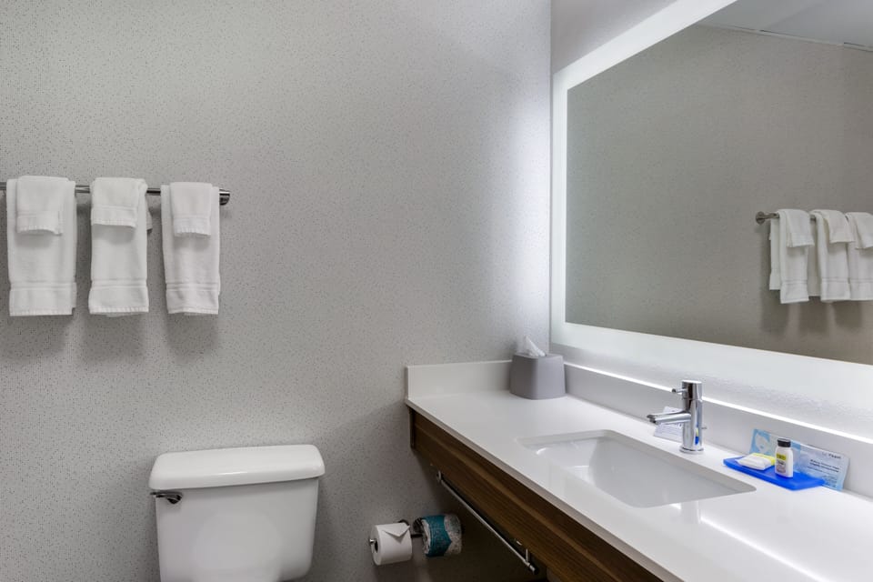 Standard Room, 1 King Bed | Bathroom | Free toiletries, hair dryer, towels