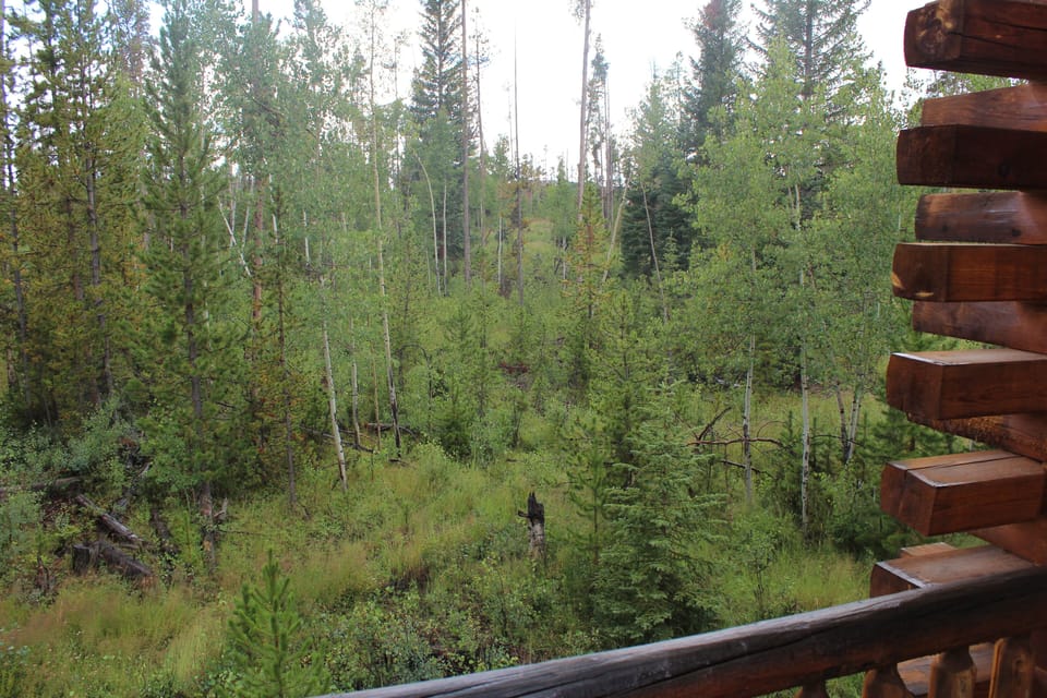 View from the upper balcony looking behind cabin