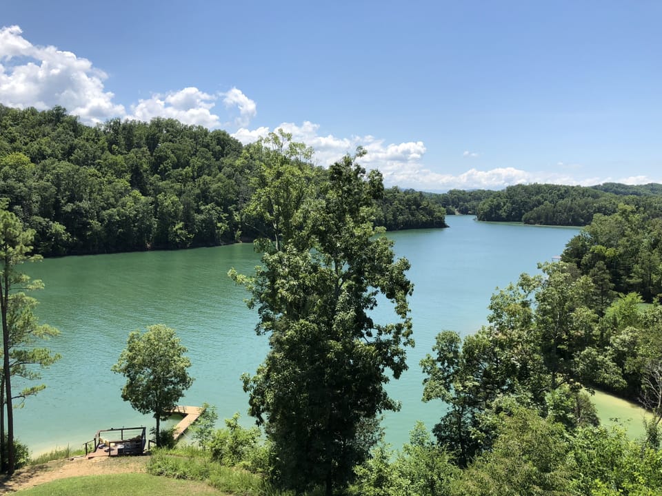 Summer view of lake;  water at highest level