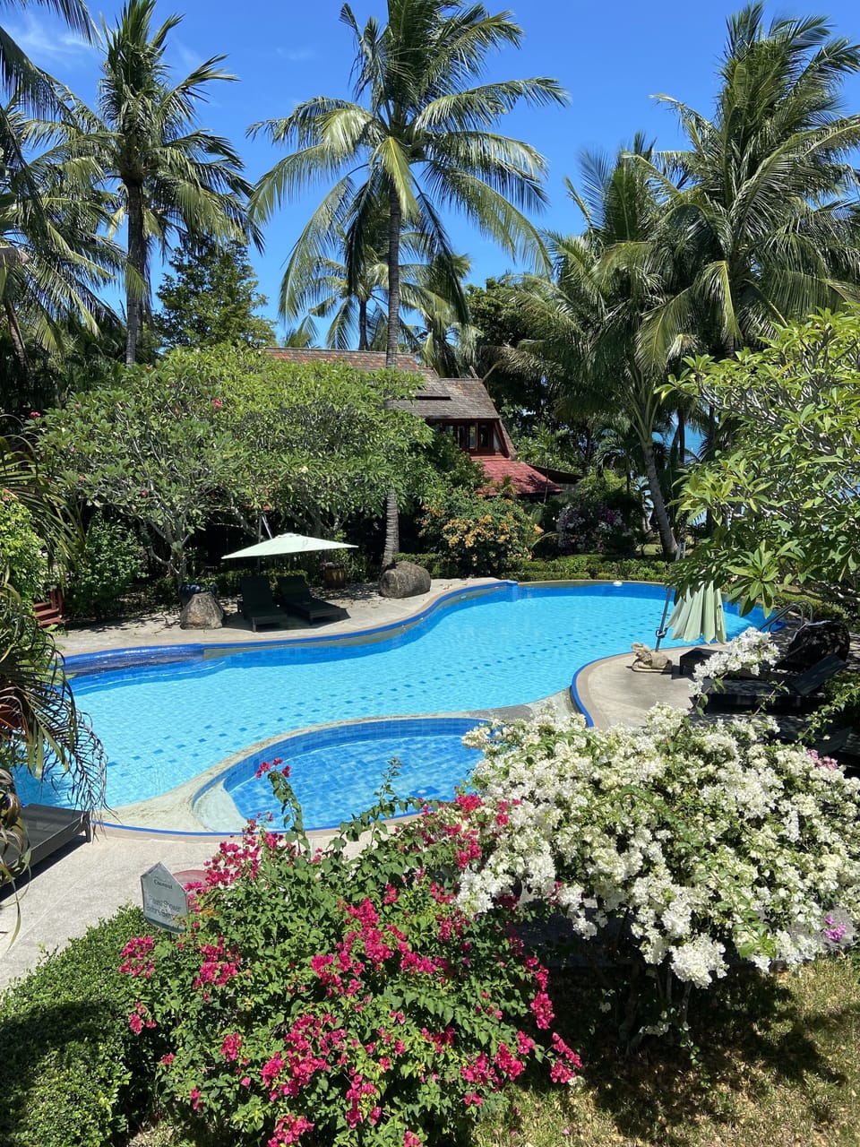 View from upstairs patio