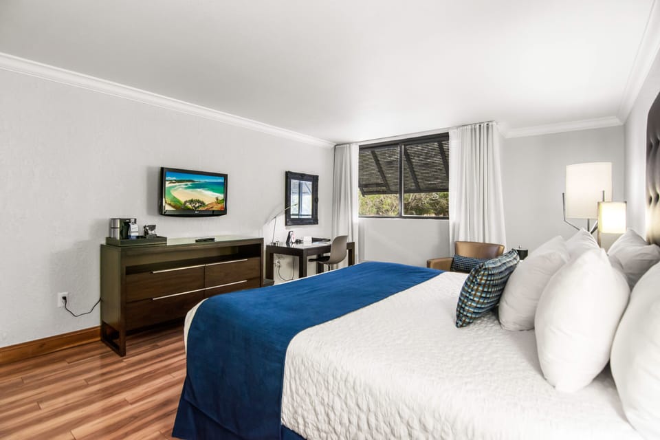 Premium bedding, down comforters, pillowtop beds, in-room safe
