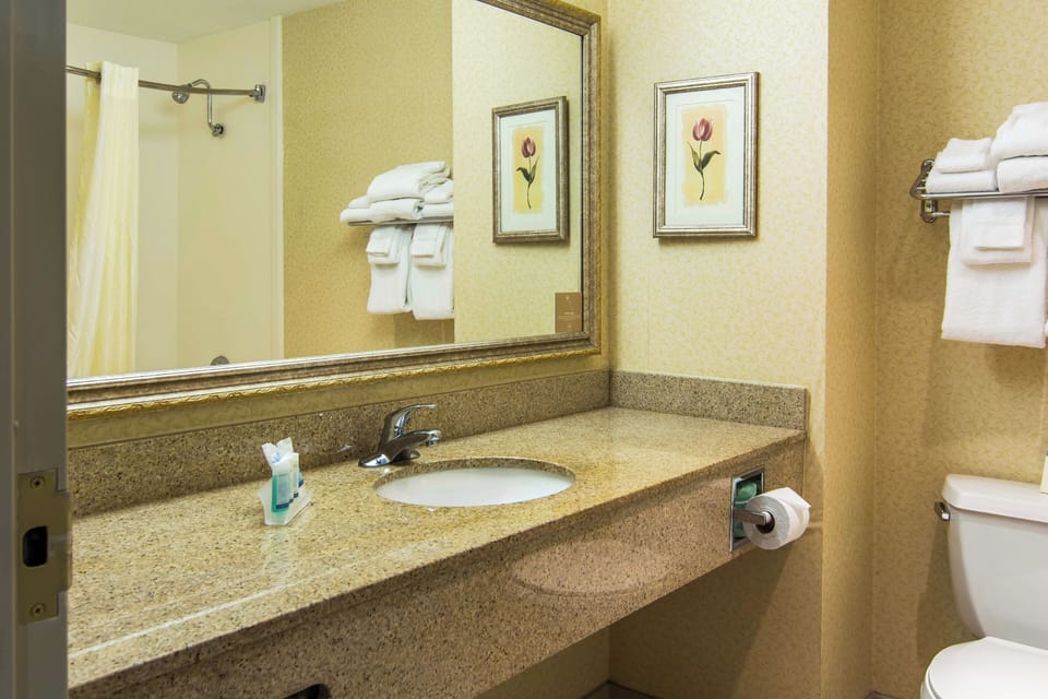 Shower, hydromassage showerhead, free toiletries, hair dryer
