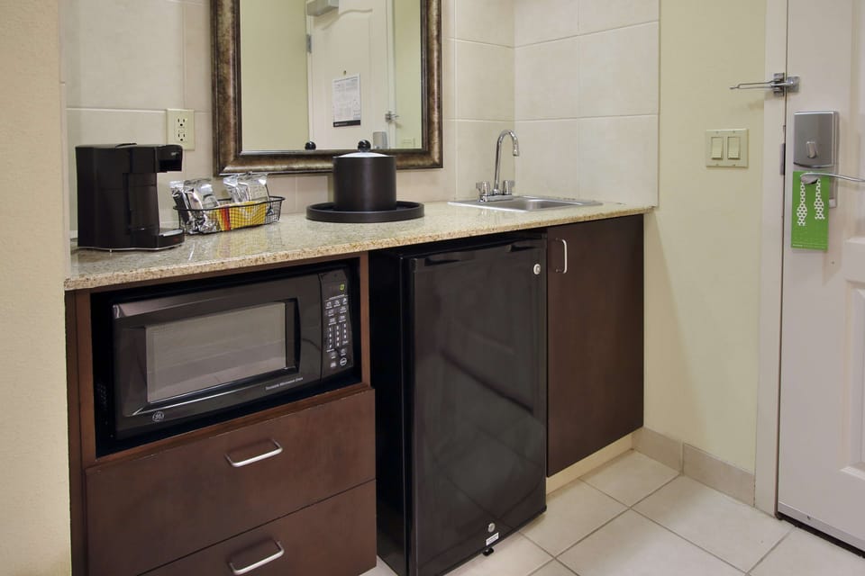 Standard Suite, 1 King Bed with Sofa bed, Non Smoking | Desk, blackout drapes, iron/ironing board, free WiFi
