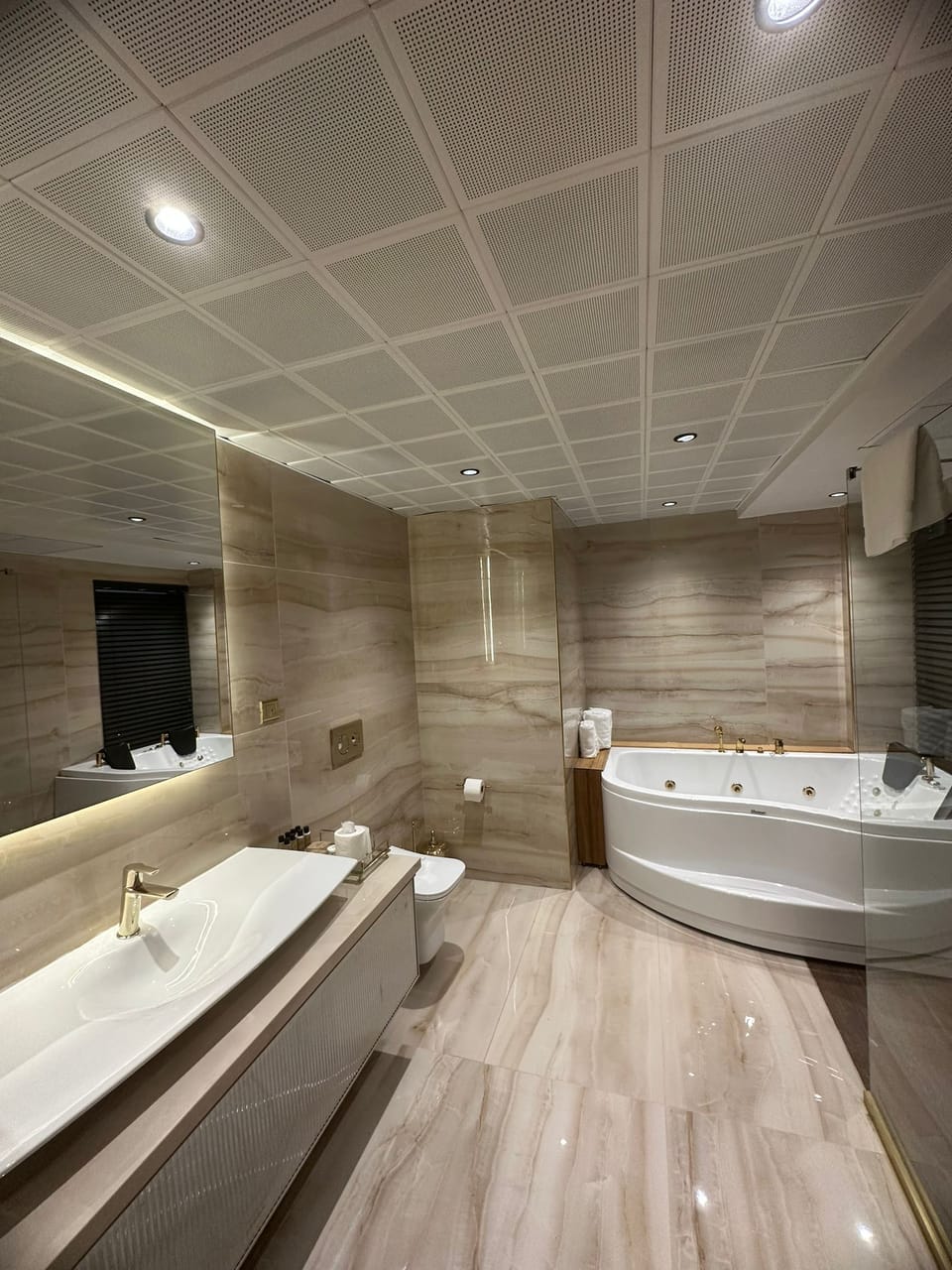 Junior Suite | Bathroom | Shower, rainfall showerhead, free toiletries, hair dryer