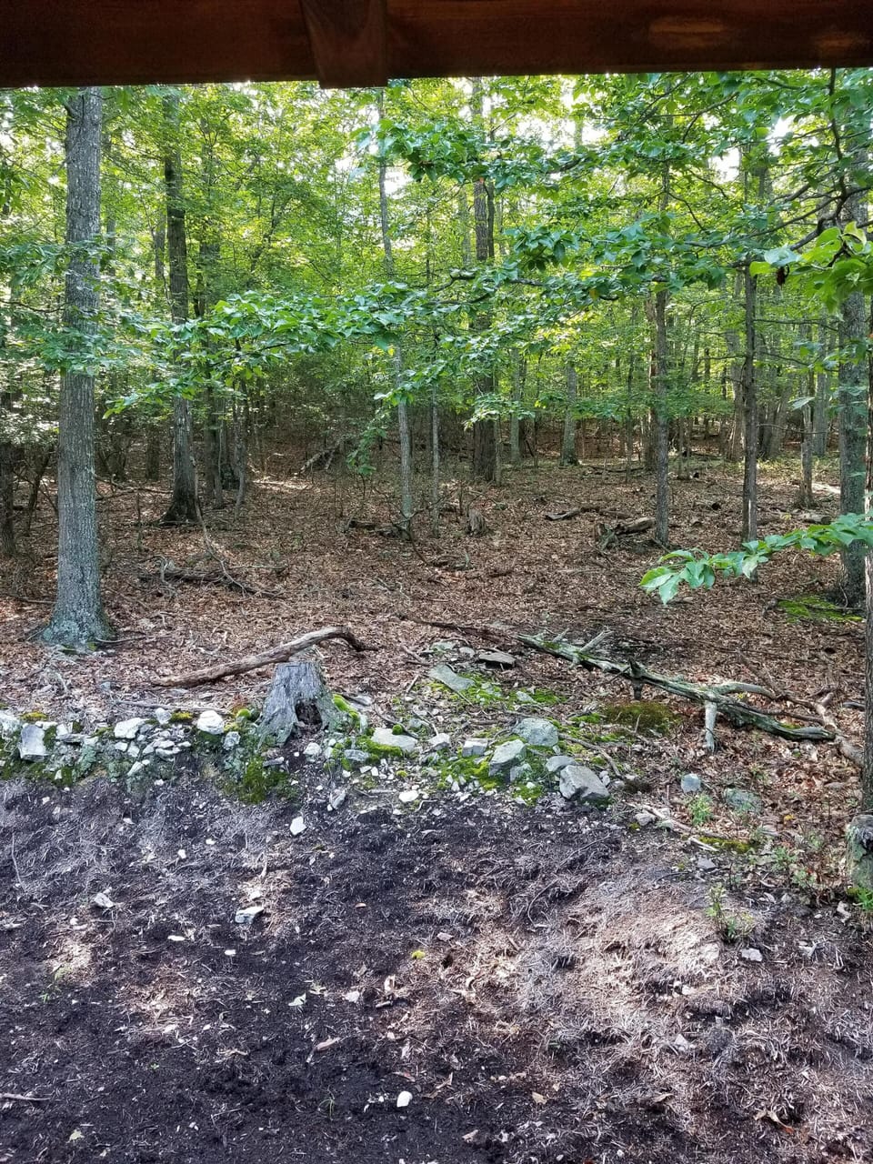 Backyard view off of porch