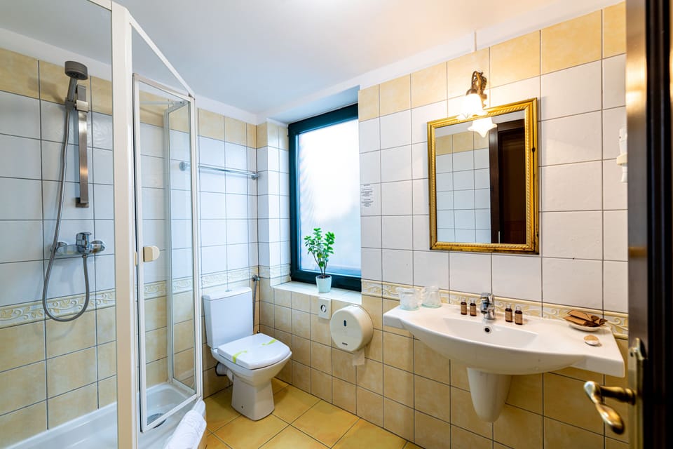 Standard Double Room | Bathroom | Hair dryer, bathrobes, slippers, towels