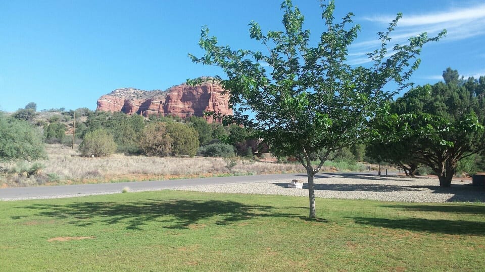 Back yard view