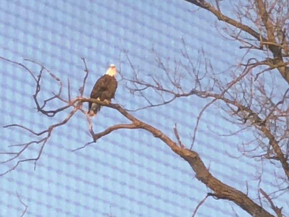 View from the bedroom.