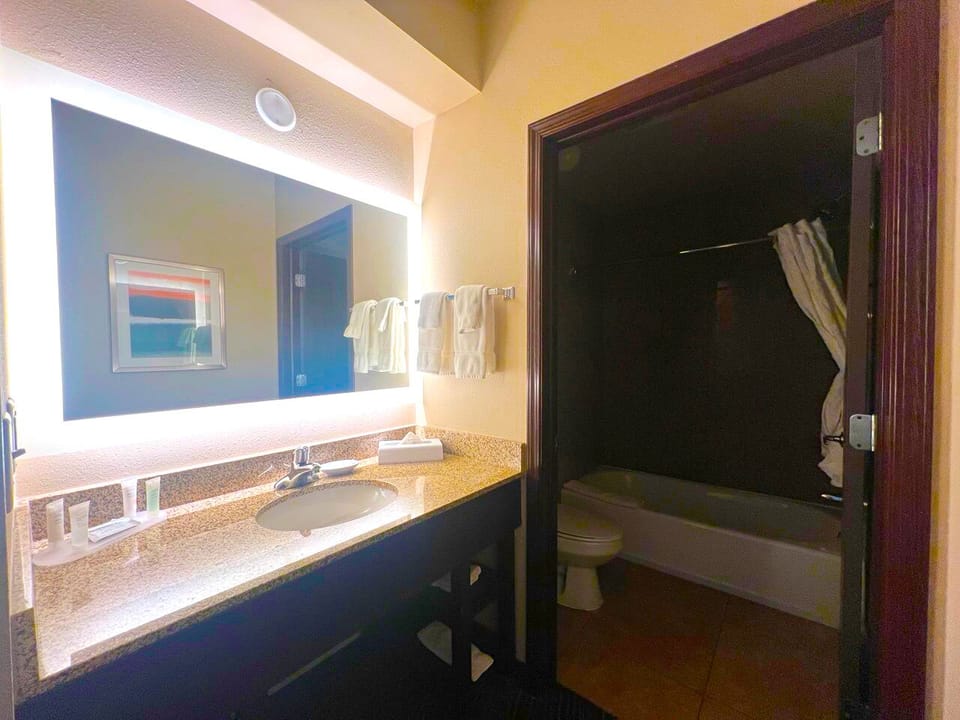 Studio Suite, 1 King Bed with Sofa bed, Non Smoking | Bathroom | Combined shower/tub, free toiletries, towels, soap