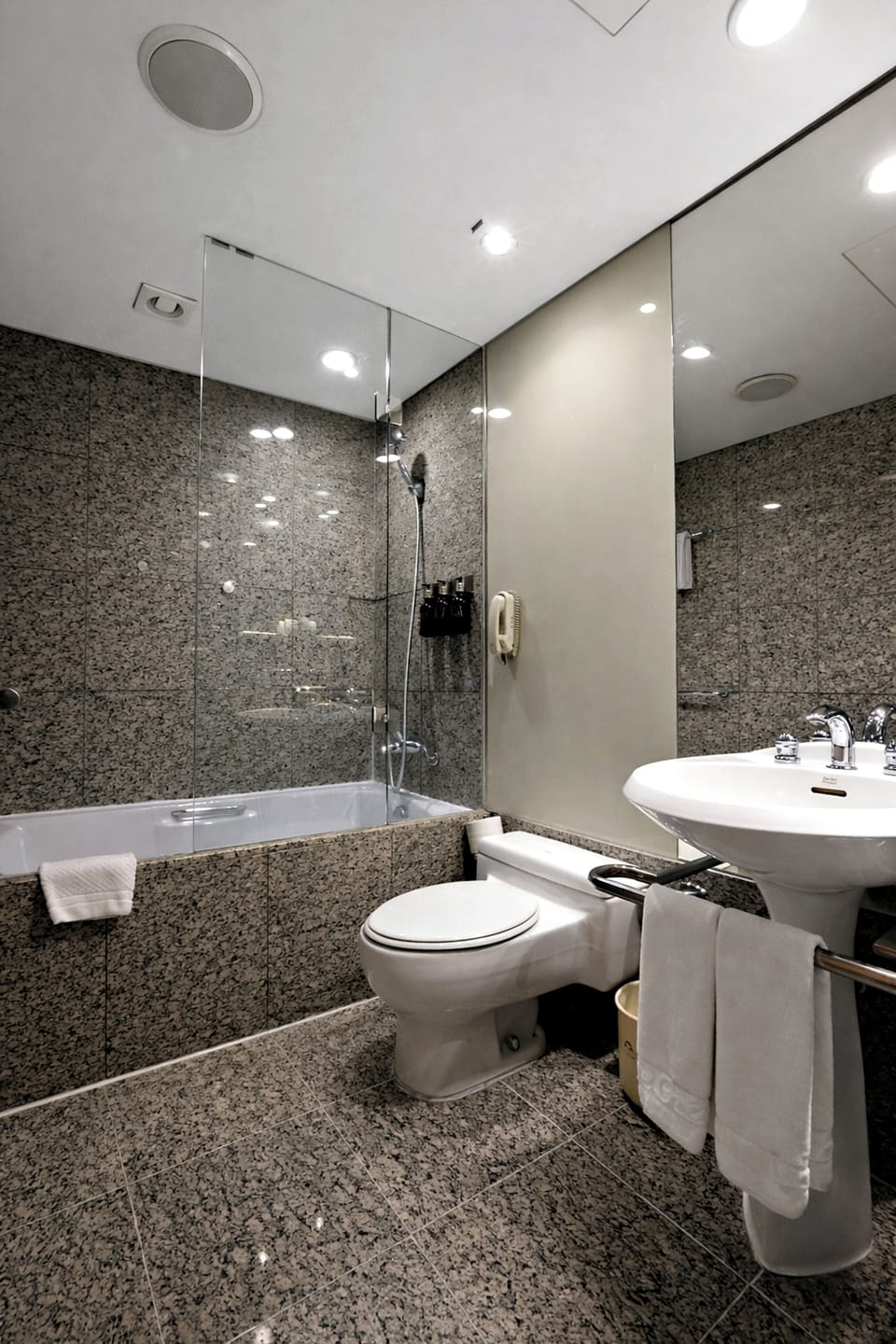 Hair dryer, bathrobes, slippers, towels