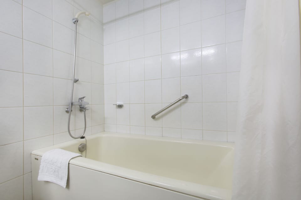 Free toiletries, hair dryer, slippers, bidet