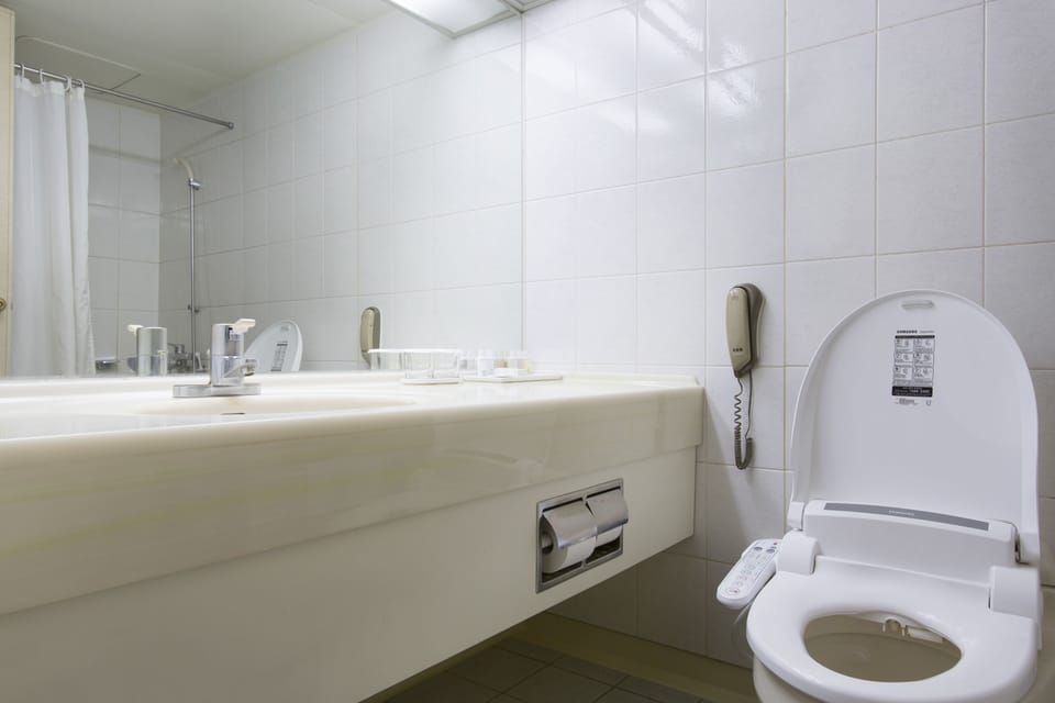 Free toiletries, hair dryer, slippers, bidet