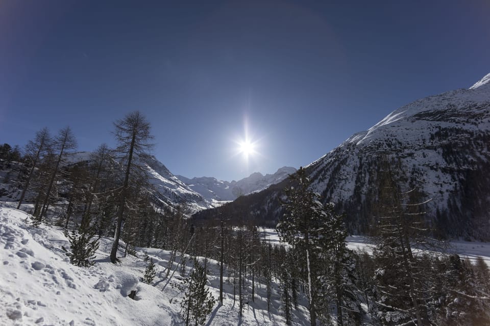 Snowshoeing