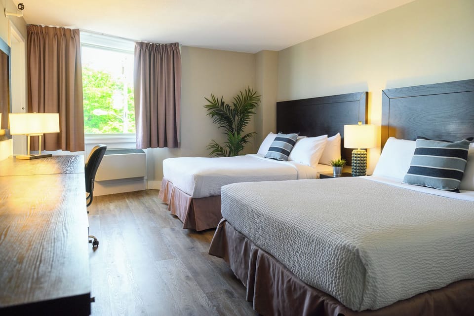 Standard Room, 2 Queen Beds | Premium bedding, desk, blackout drapes, iron/ironing board