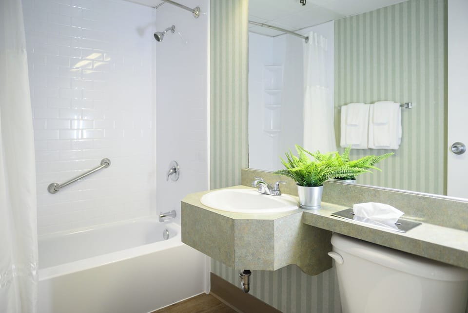 Combined shower/tub, free toiletries, hair dryer, towels