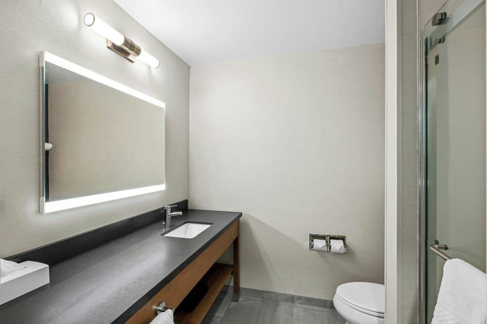 Combined shower/tub, free toiletries, hair dryer, towels