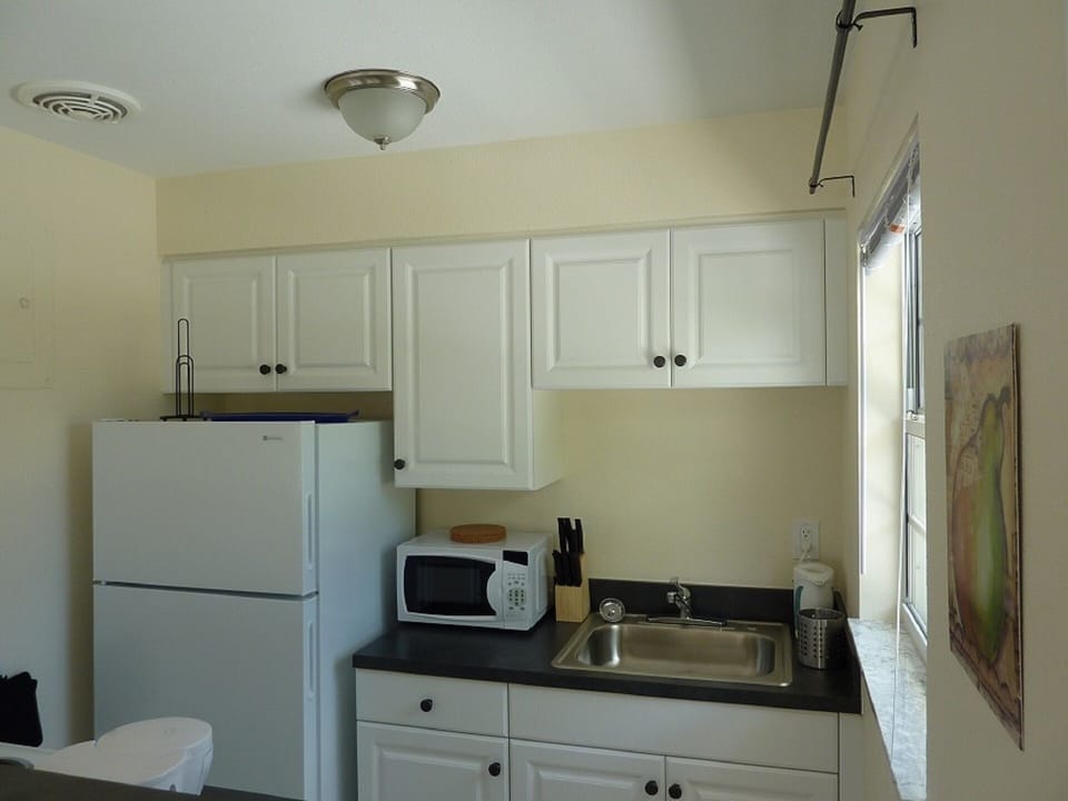 well-equipped kitchen with refrigerator and microwave