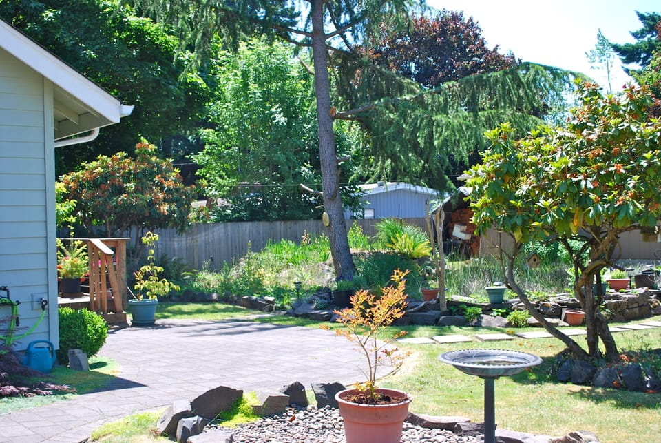 Front yard with brick walkway