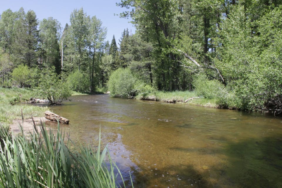 River flowing through the property