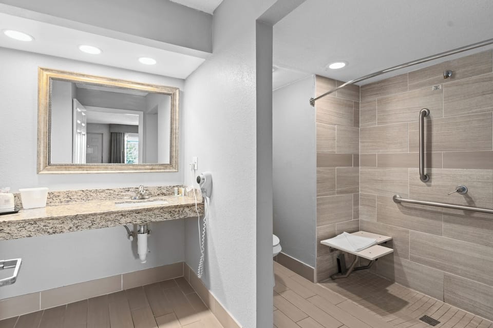 Room, 1 King Bed, Mobility Accessible, Non Smoking (Bathtub W/grab Bars) | Bathroom | Combined shower/tub, free toiletries, hair dryer, towels
