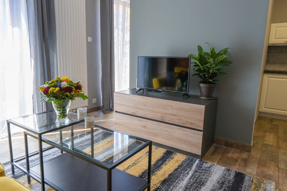 Classic Apartment | Living area | 32-inch flat-screen TV with satellite channels, TV