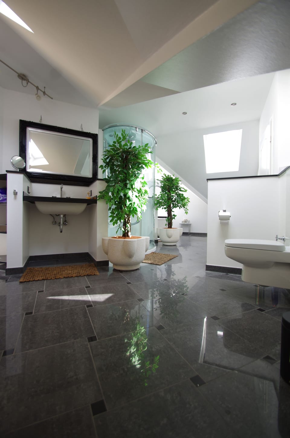 Luxury Apartments Bonn Bed and Breakfast in Bonn