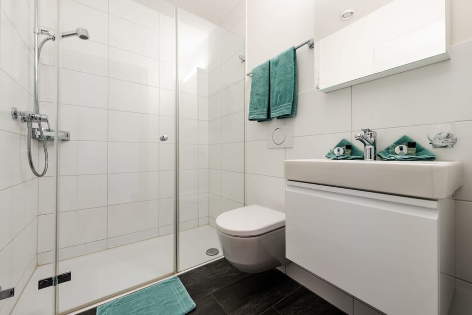 Shower, free toiletries, hair dryer, towels