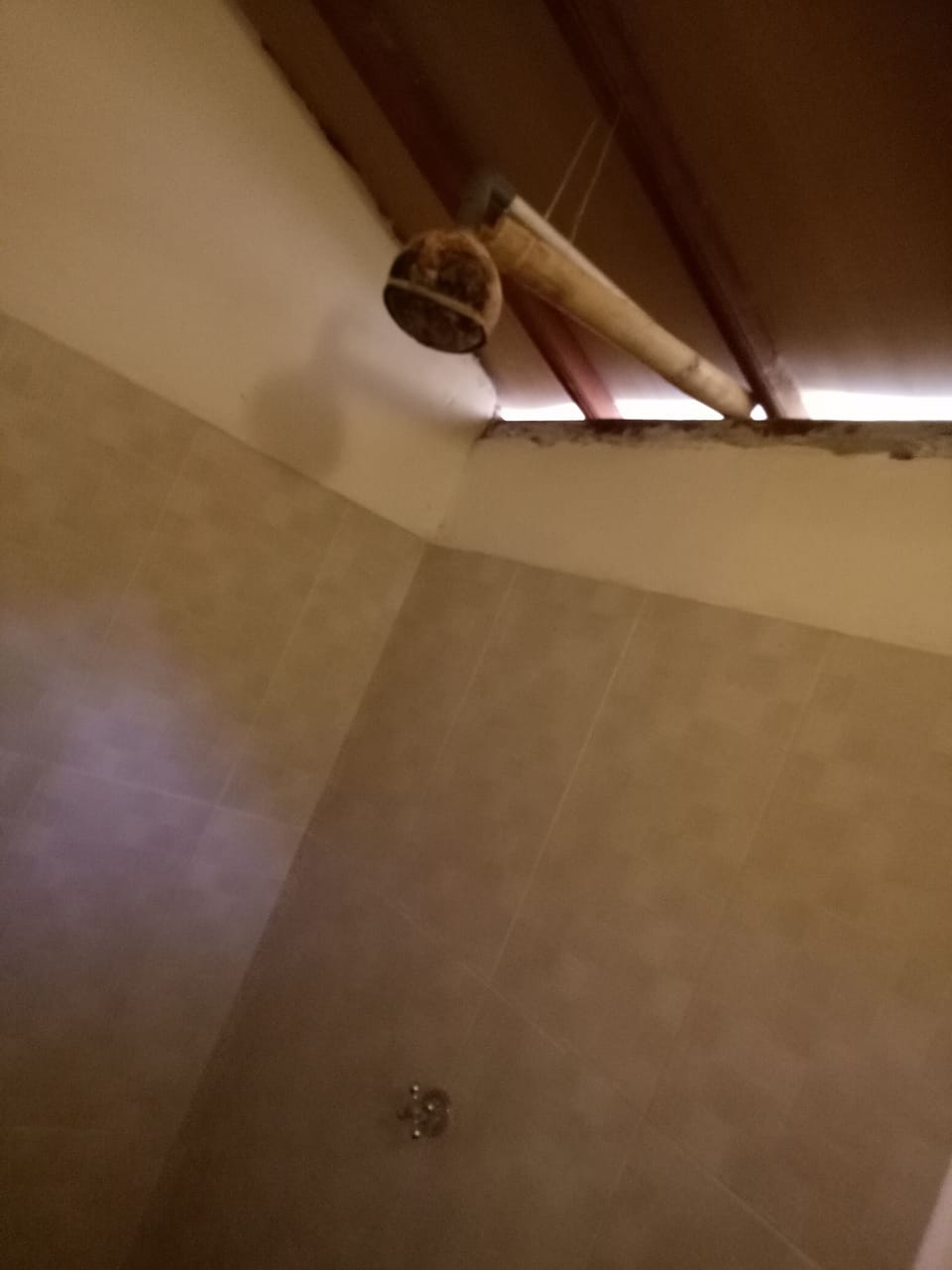 Deluxe Bungalow | Bathroom shower